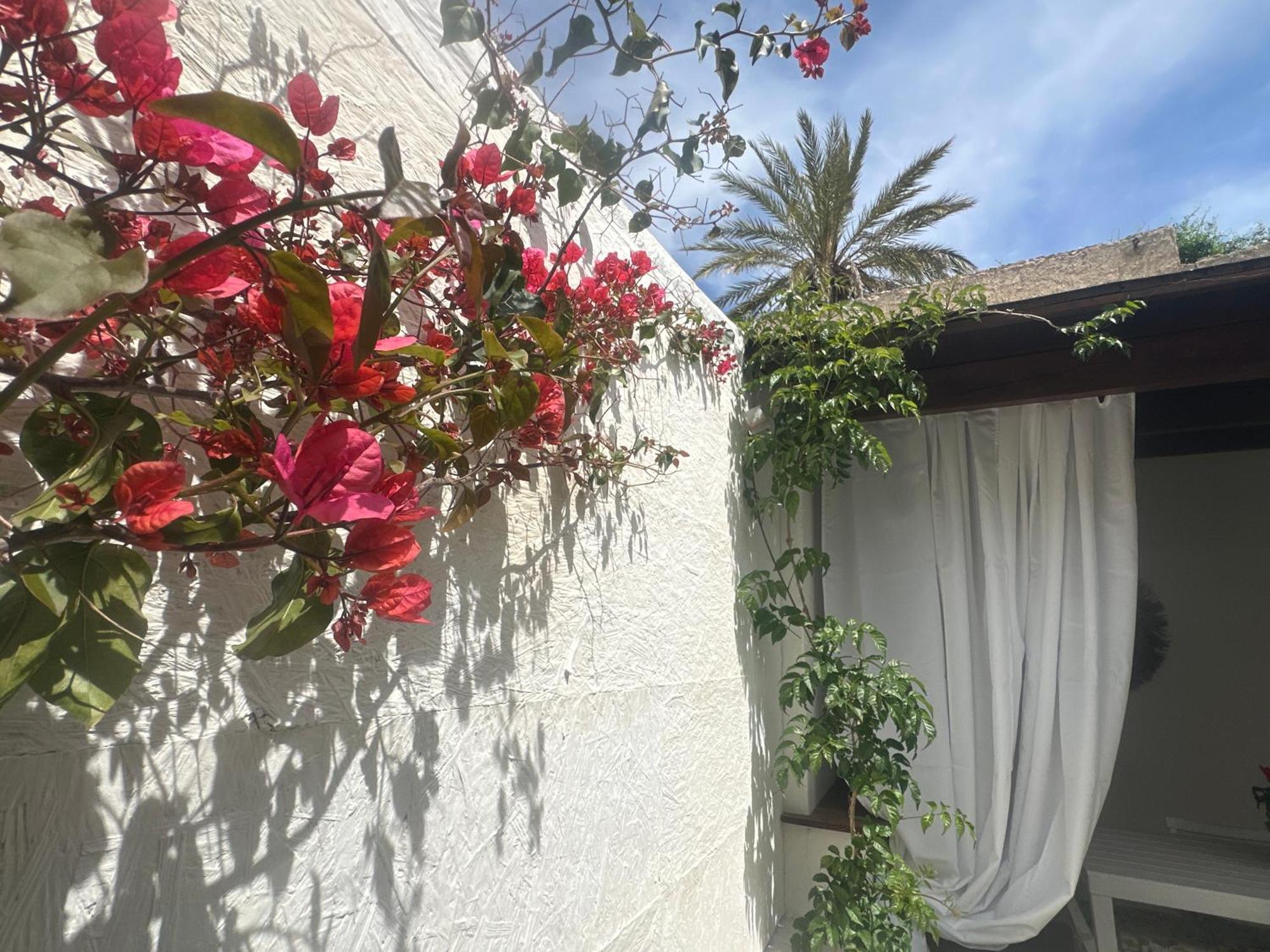 Maria House With Private Garden Olbia Zewnętrze zdjęcie